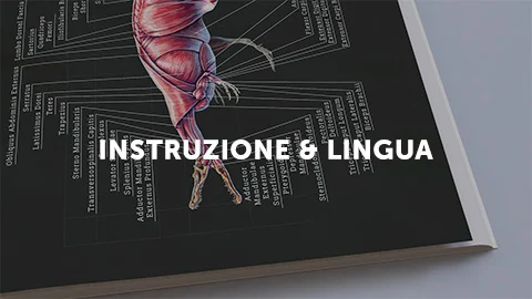 Photo of a self-published anatomy book representing the Lulu bookstore category education and language