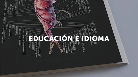 Photo of a self-published anatomy book representing the Lulu bookstore category education and language